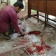 A worker cleans the scene inside the Cairo church following the Dec.11 bombing